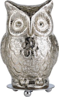 Heart of House - Silva Glass Owl - Table Lamp - Silver